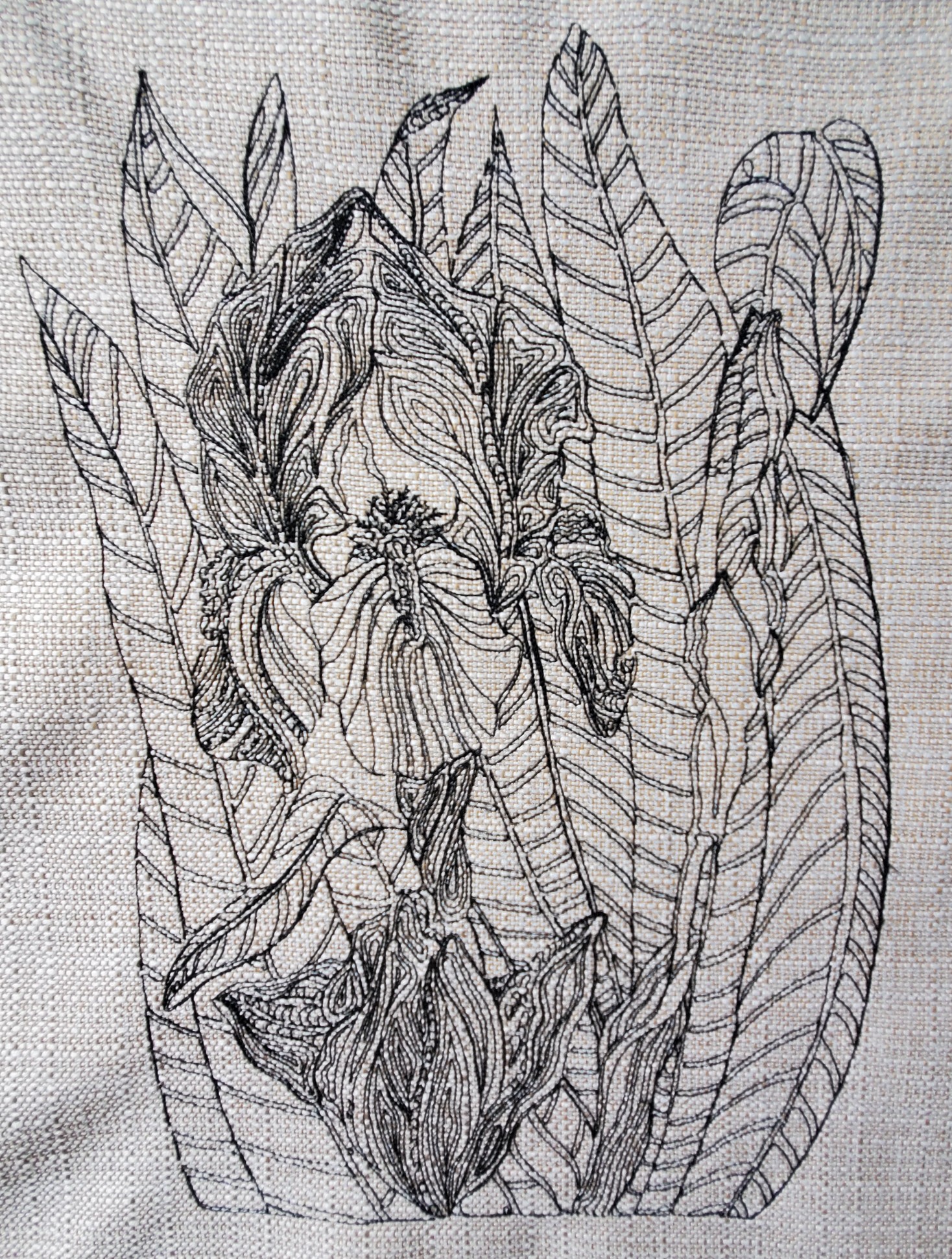 Iris-AcuSketch-embroidery-Jennifer Wheatley-Wolf